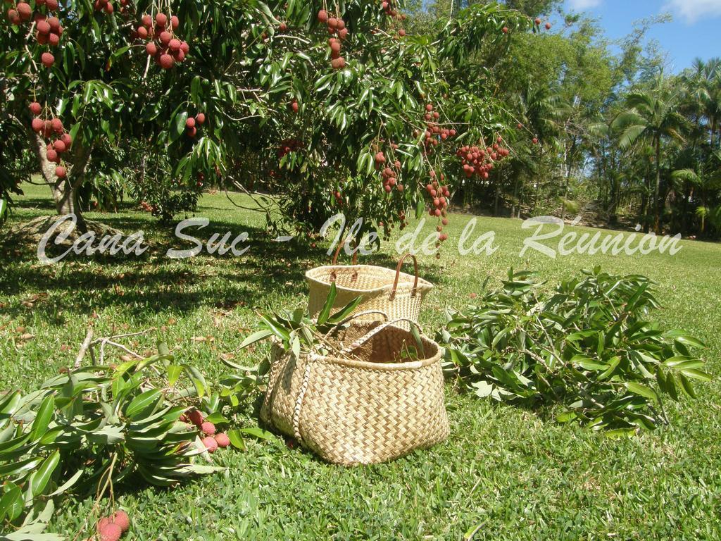 Cana Suc Sainte-Rose Ngoại thất bức ảnh